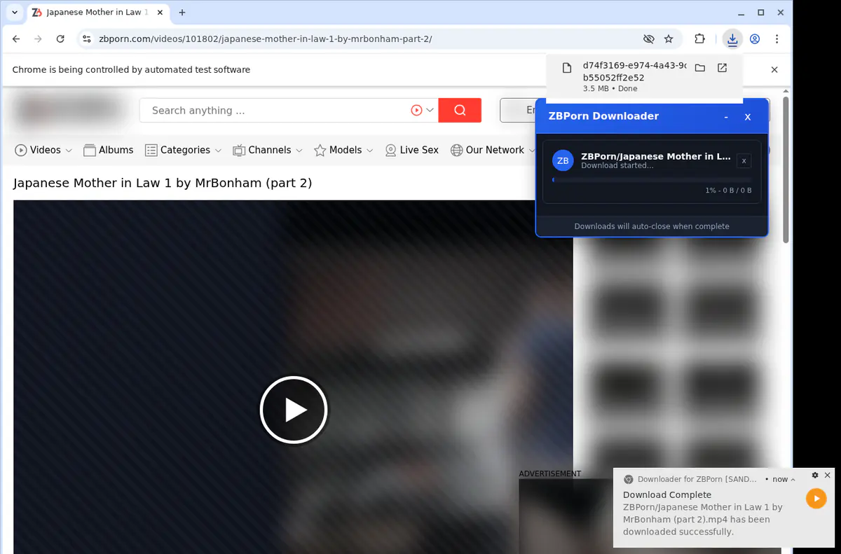 Zbporn Video Downloader browser extension screenshot 3
