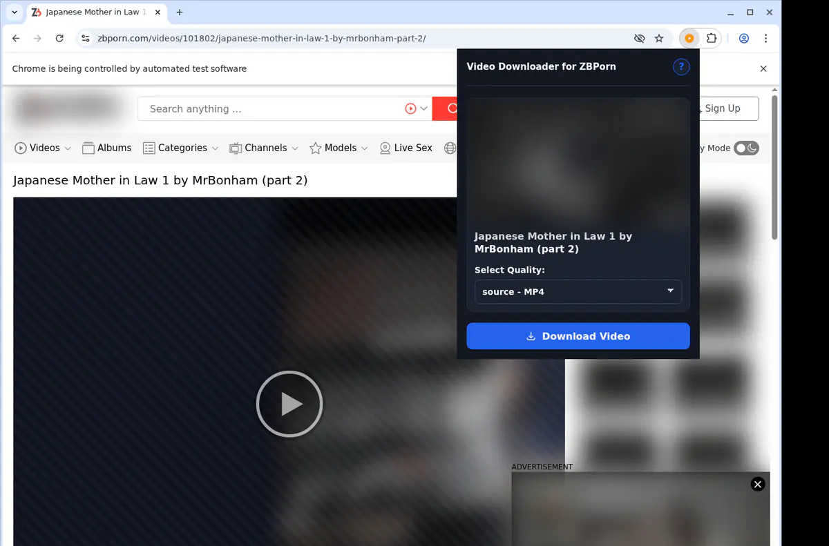 Zbporn Video Downloader browser extension screenshot 4