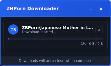 Zbporn Video Downloader browser extension screenshot 5